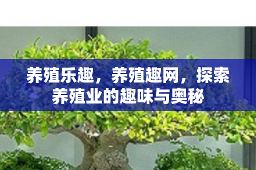 探索养殖业的趣味与奥秘图片