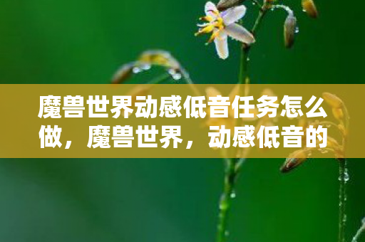 魔兽世界动感低音任务怎么做图片