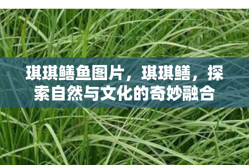 探索自然与文化的奇妙融合图片
