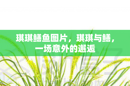 一场意外的邂逅图片