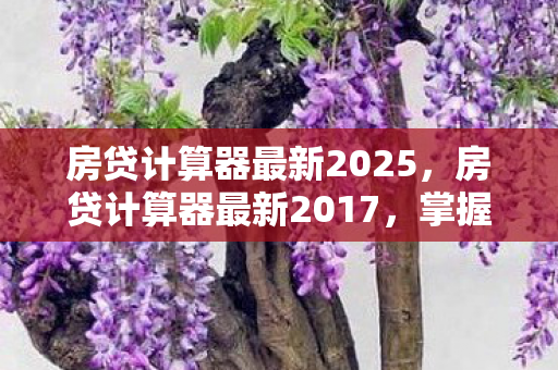 房贷计算器最新2025图片