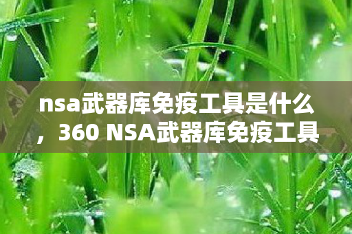 360 NSA武器库免疫工具图片