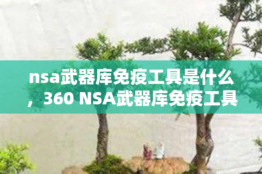 360 NSA武器库免疫工具图片