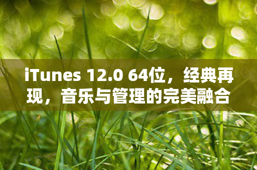 音乐与管理的完美融合图片