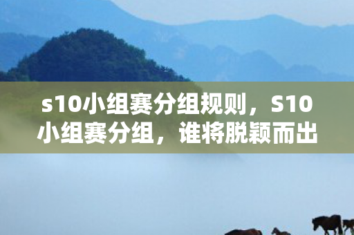 s10小组赛分组规则图片