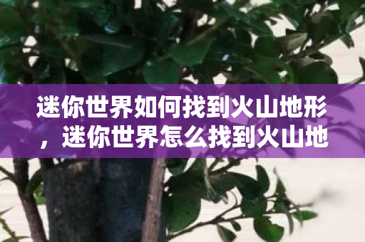 迷你世界如何找到火山地形图片