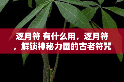 解锁神秘力量的古老符咒图片