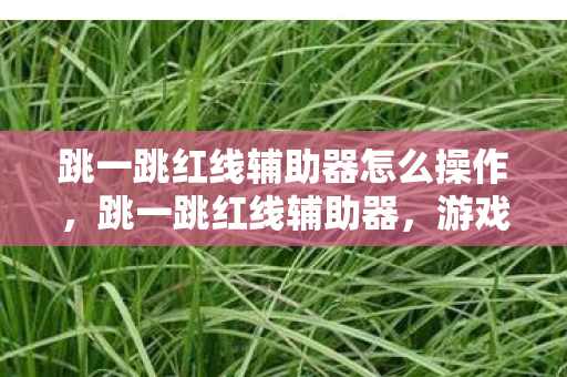 游戏辅助工具的风险与合规性探讨图片