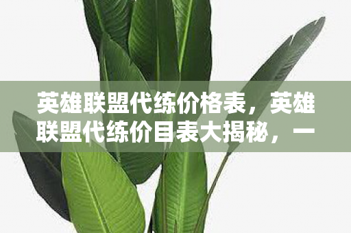 英雄联盟代练价格表，英雄联盟代练价目表大揭秘，一场金钱与账号安全的博弈游戏，你真的准备好买单了吗？