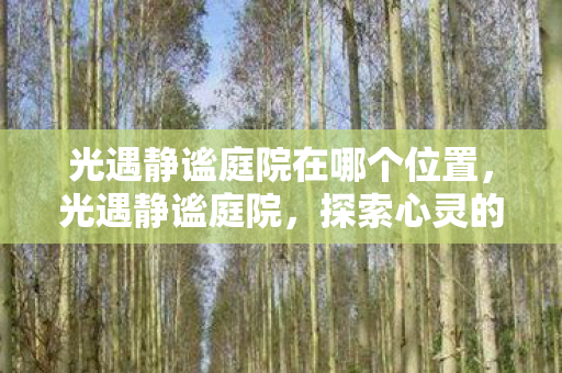 光遇静谧庭院在哪个位置图片