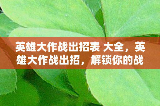 英雄大作战出招表 大全图片