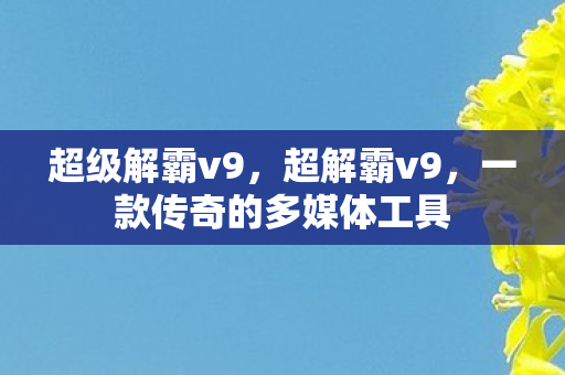 一款传奇的多媒体工具图片