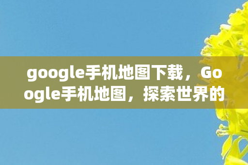 google手机地图下载图片