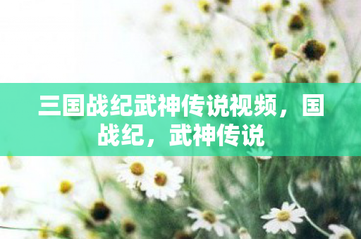 三国战纪武神传说视频图片