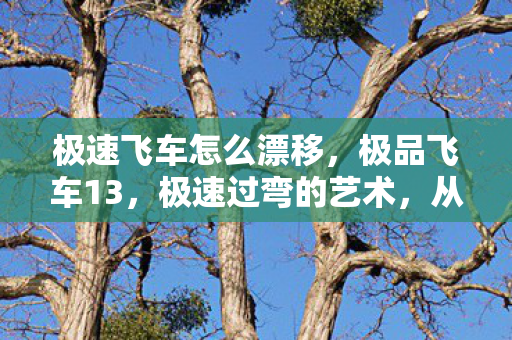 极速飞车怎么漂移，极品飞车13，极速过弯的艺术，从新手到高手的漂移进阶指南