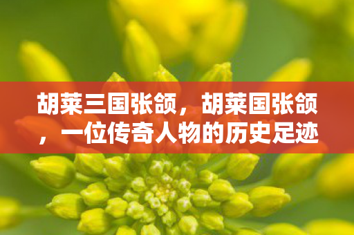 一位传奇人物的历史足迹图片