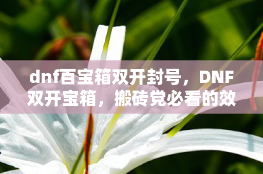 dnf百宝箱双开封号，DNF双开宝箱，搬砖党必看的效率翻倍攻略，轻松实现资源最大化