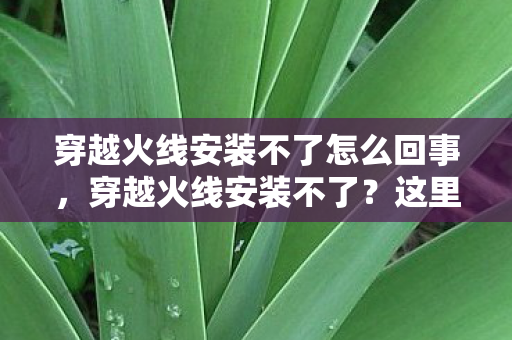 穿越火线安装不了怎么回事图片