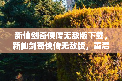 新仙剑奇侠传无敌版下载图片