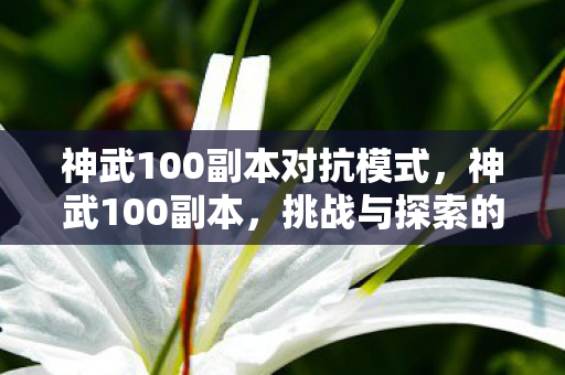 神武100副本对抗模式图片