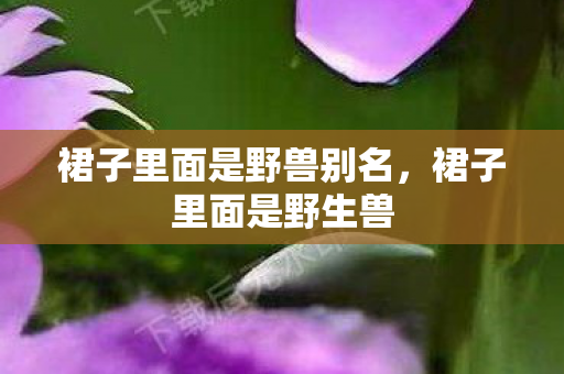 裙子里面是野兽别名图片