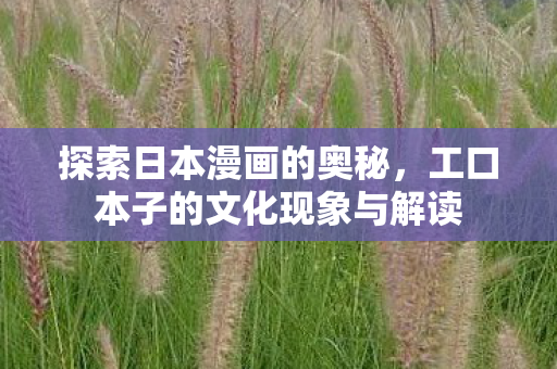 工口本子的文化现象与解读图片