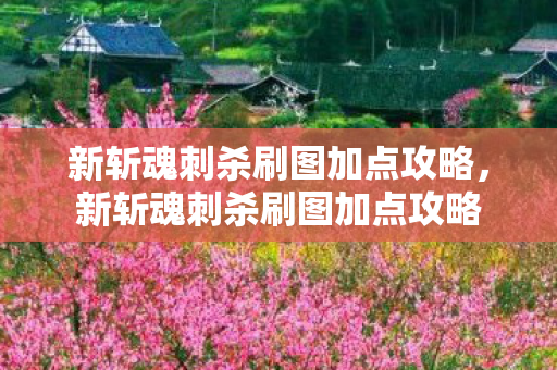 新斩魂刺杀刷图加点攻略图片