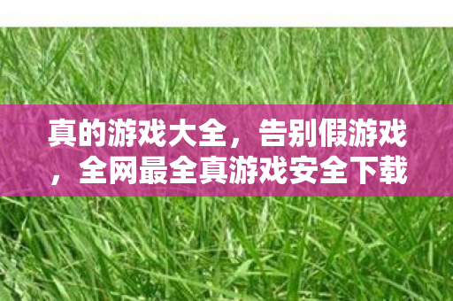 真的游戏大全，告别假游戏，全网最全真游戏安全下载指南，玩家必藏！