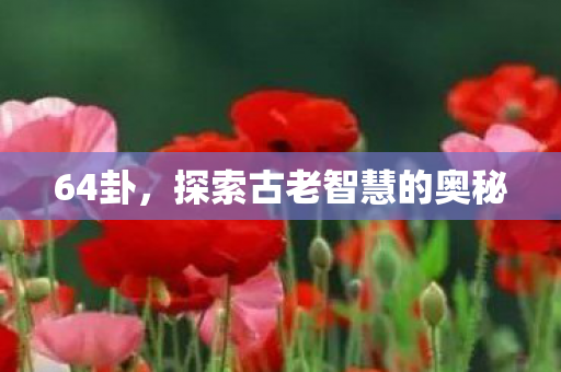 探索古老智慧的奥秘图片