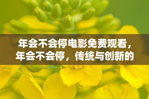 年会不会停电影免费观看图片