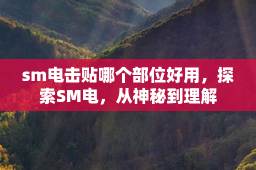 sm电击贴哪个部位好用图片