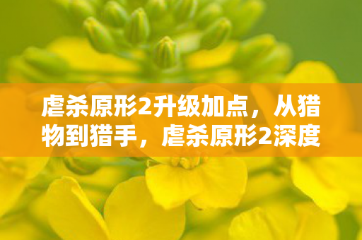 虐杀原形2升级加点，从猎物到猎手，虐杀原形2深度解析，当詹姆斯·海勒踏上复仇的升神之路