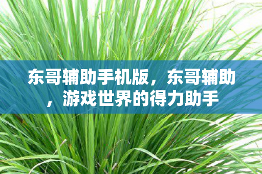 游戏世界的得力助手图片