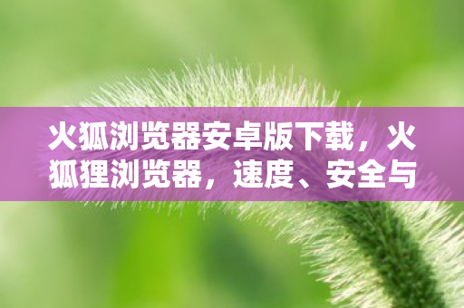 安全与个性化并重的网络探索工具图片