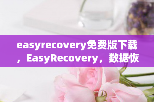 easyrecovery免费版下载图片