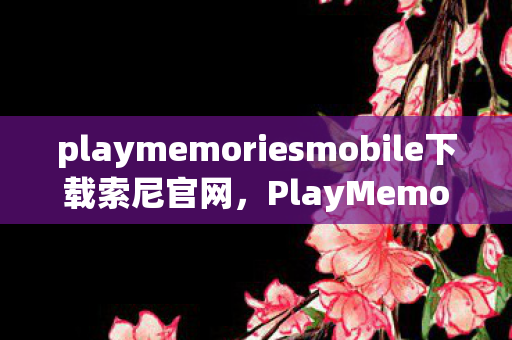 playmemoriesmobile下载索尼官网图片