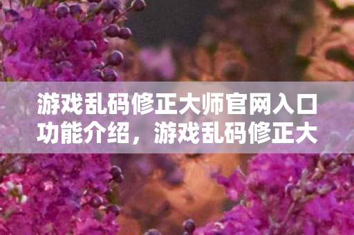 游戏乱码修正大师官网入口功能介绍图片