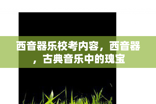 西音器乐校考内容图片