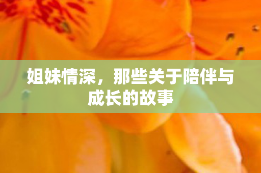 那些关于陪伴与成长的故事图片