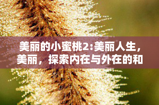 探索内在与外在的和谐之美图片