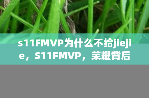 s11FMVP为什么不给jiejie图片
