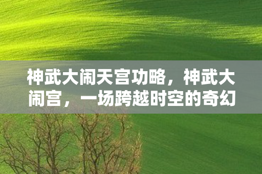 一场跨越时空的奇幻冒险图片