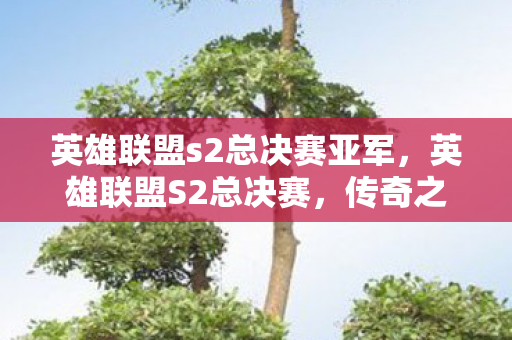 英雄联盟s2总决赛亚军图片