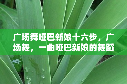 一曲哑巴新娘的舞蹈传奇图片