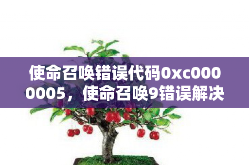 使命召唤错误代码0xc0000005图片