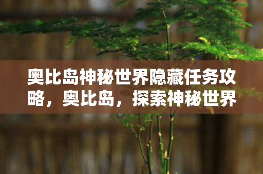 奥比岛神秘世界隐藏任务攻略图片