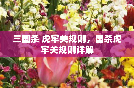 三国杀 虎牢关规则图片