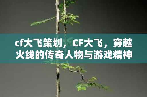 穿越火线的传奇人物与游戏精神图片