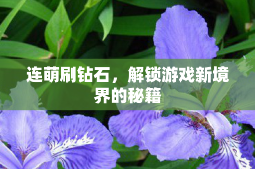 解锁游戏新境界的秘籍图片