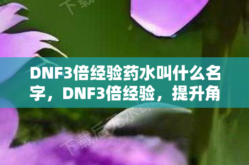 DNF3倍经验药水叫什么名字图片